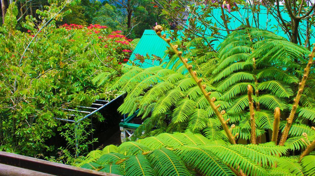 Crystal Mounts Hotel Nuwara Eliya Exterior photo